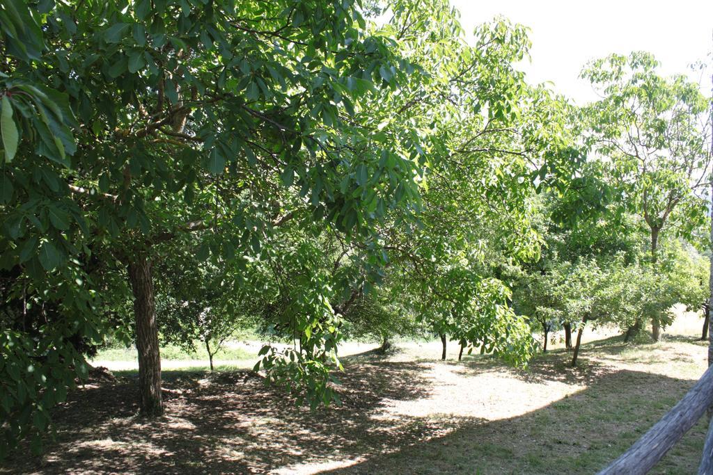 Il Vallone Di Melezzole Villa Bagian luar foto